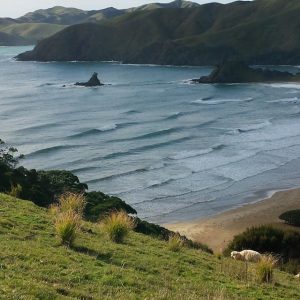 secret spot